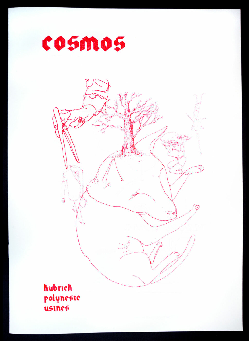 Cosmos #2 • couverture